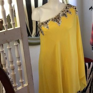 Gorgeous satin lined silk luscious jeweled dress